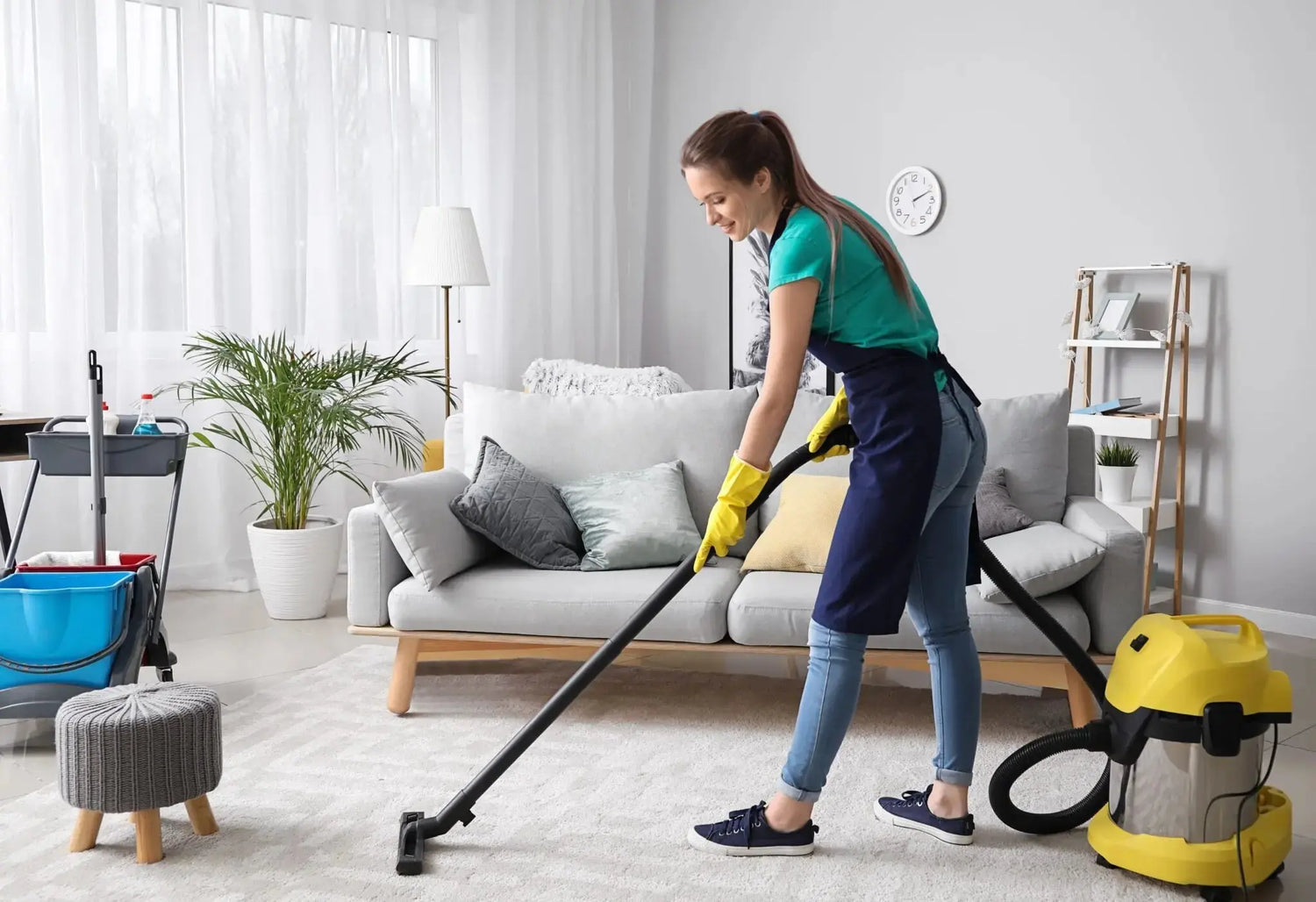 Household-Cleaning Homeysolve